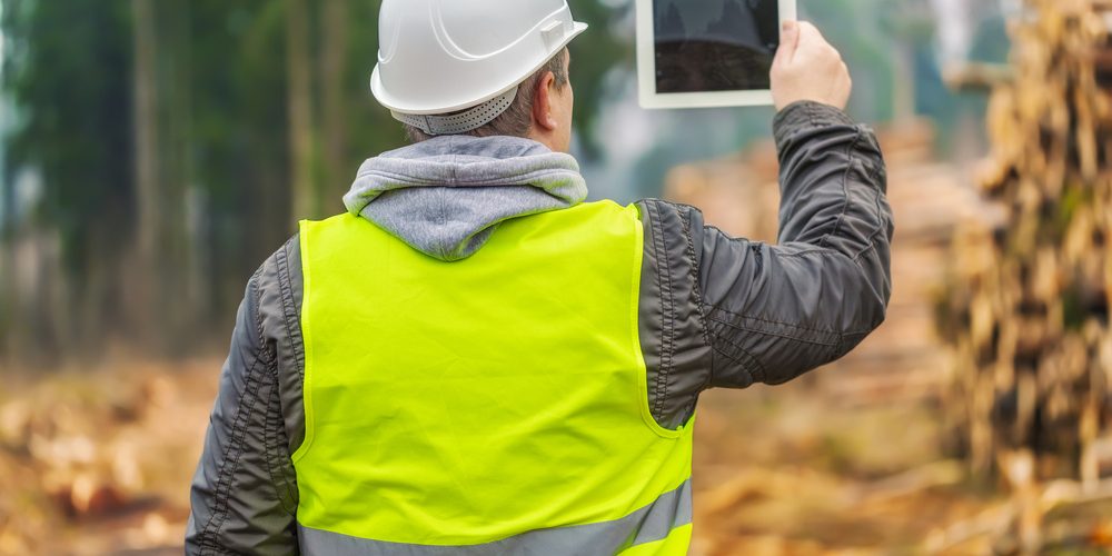 Vi erbjuder även skogsförvaltning