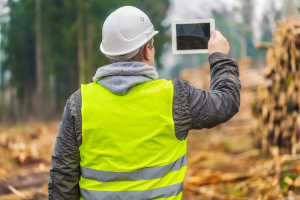 Vi erbjuder även skogsförvaltning